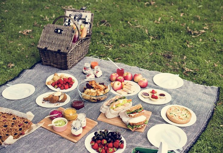 Как организовать идеальный пикник: вкусно кормим и оставляем природу чистой!.